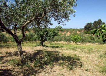 Casa indipendente Contrada Cartabubbo, Sciacca - foto 17