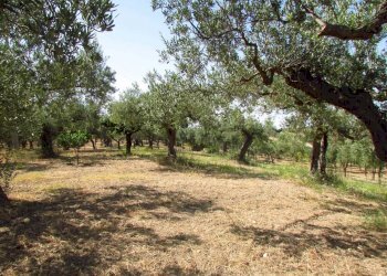 Casa indipendente Contrada Cartabubbo, Sciacca - foto 18