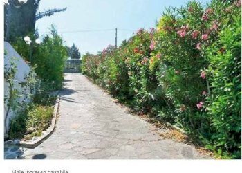 Zona - Villa Coriano - foto 20