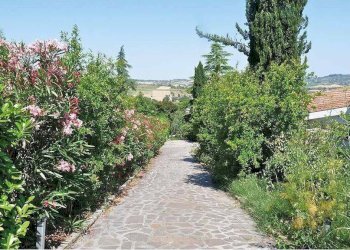 Zona - Villa Coriano - foto 21