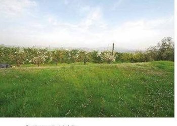 Terreno - Villa Coriano - foto 23
