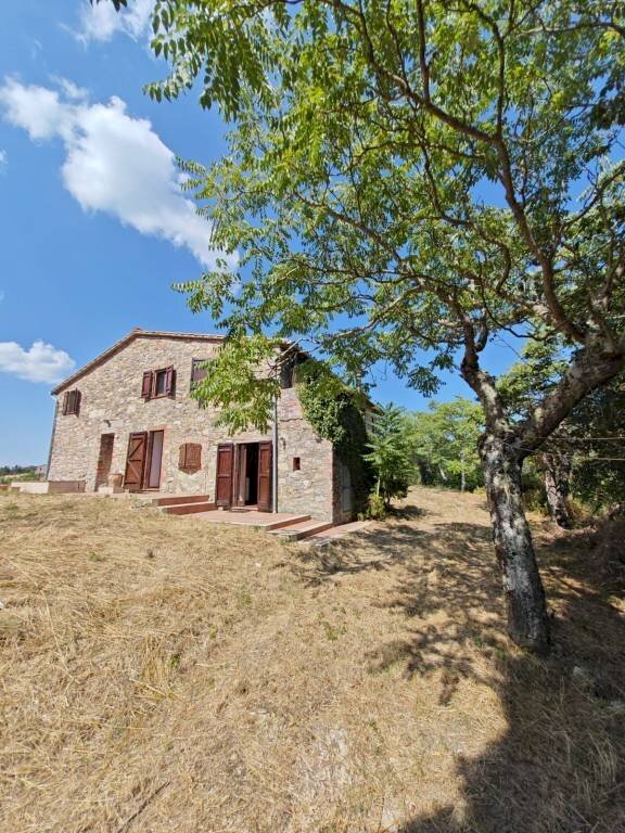 Giardino - Rustico San Venanzo - foto 1