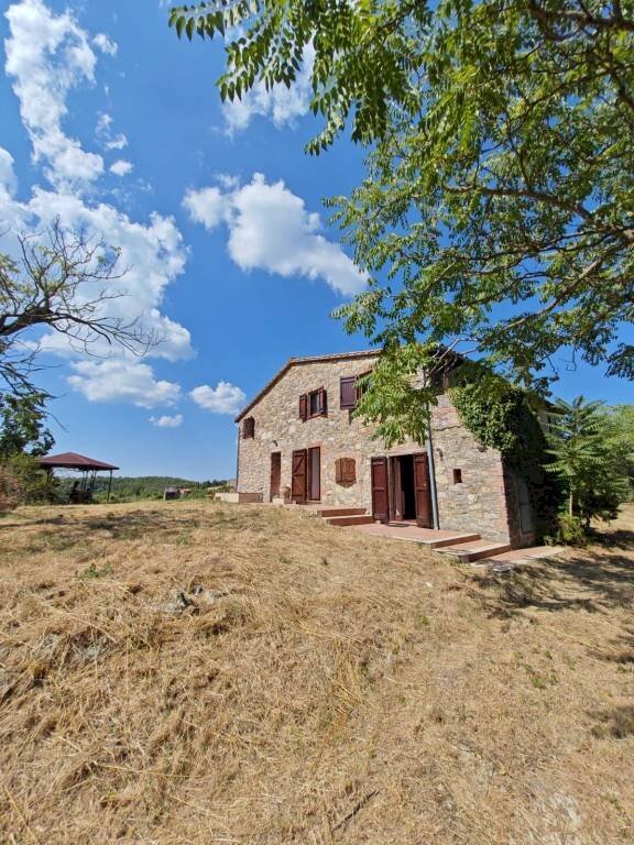 Giardino - Rustico San Venanzo - foto 3