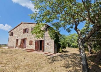 Giardino - Rustico San Venanzo - foto 1