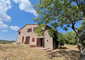 Giardino - Rustico San Venanzo - foto 2