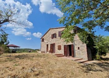 Giardino - Rustico San Venanzo - foto 3