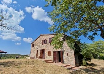 Giardino - Rustico San Venanzo - foto 4