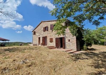 Giardino - Rustico San Venanzo - foto 5