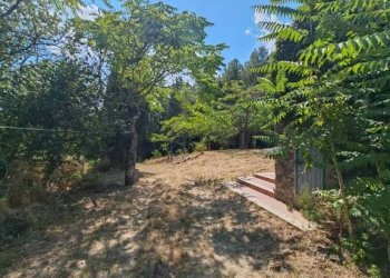 Giardino - Rustico San Venanzo - foto 10