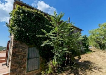 Facciata - Rustico San Venanzo - foto 14