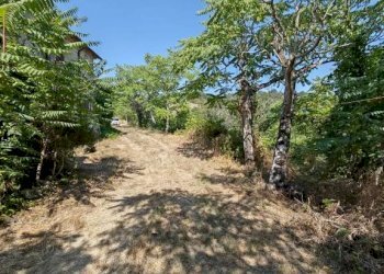 Zona - Rustico San Venanzo - foto 16