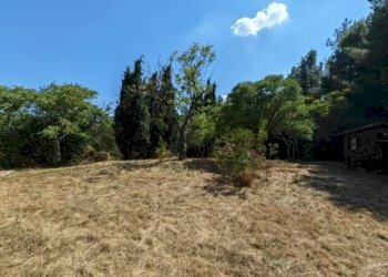 Giardino - Rustico San Venanzo - foto 49