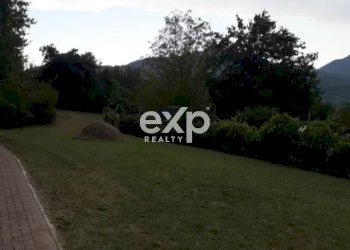 Villa Aulla - foto 5