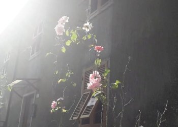 Villa Fivizzano - foto 7