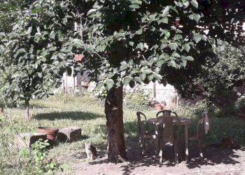 Villa Fivizzano - foto 10