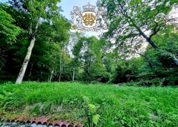 GIARDINO - Villa Borgata Paglietta, 19/A, Chiusa di Pesio - foto 7