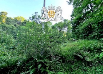Vista - Villa Borgata Paglietta, 19/A, Chiusa di Pesio - foto 13