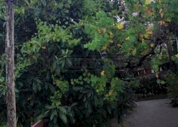 foto 16.jpg - Casa indipendente Via Caira 6363, Cassino - foto 17