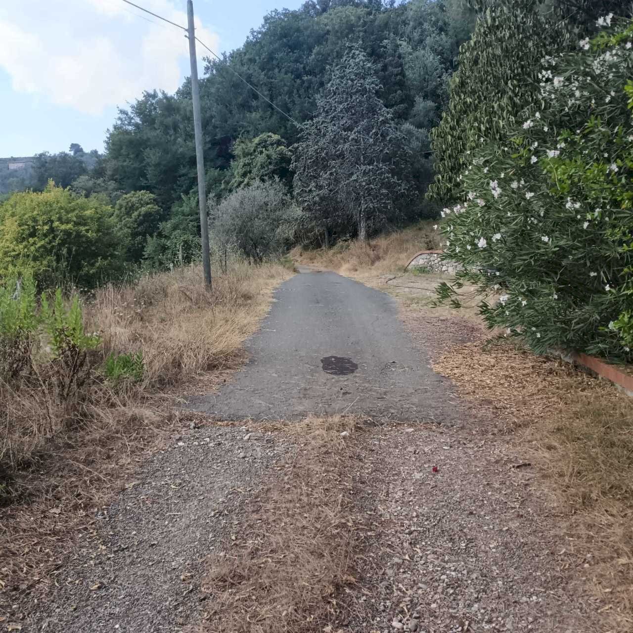 WhatsApp Image 2024-08-03 at 16.47.50(2).jpeg - Rustico Castelnuovo Magra - foto 3