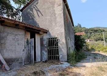 WhatsApp Image 2024-08-03 at 16.47.38(1).jpeg - Rustic Castelnuovo Magra - photo 2