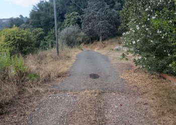 WhatsApp Image 2024-08-03 at 16.47.50(2).jpeg - Rustic Castelnuovo Magra - photo 3