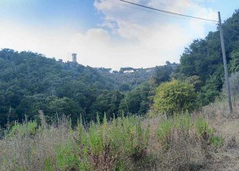 WhatsApp Image 2024-08-03 at 16.47.50(1).jpeg - Rustic Castelnuovo Magra - photo 4