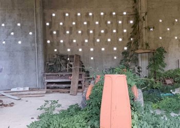 WhatsApp Image 2024-08-03 at 16.47.50.jpeg - Rustic Castelnuovo Magra - photo 5