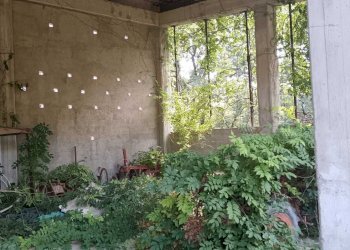 WhatsApp Image 2024-08-03 at 16.47.49(3).jpeg - Rustic Castelnuovo Magra - photo 6