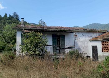 WhatsApp Image 2024-08-03 at 16.47.49(1).jpeg - Rustic Castelnuovo Magra - photo 8