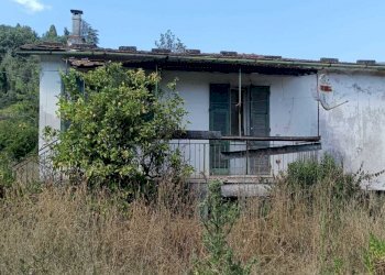 WhatsApp Image 2024-08-03 at 16.47.48(3).jpeg - Rustic Castelnuovo Magra - photo 1