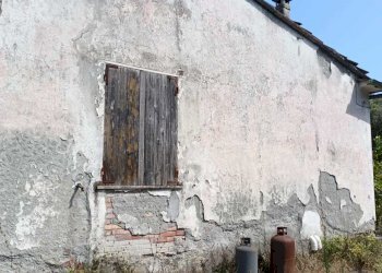 WhatsApp Image 2024-08-03 at 16.47.48(2).jpeg - Rustic Castelnuovo Magra - photo 10