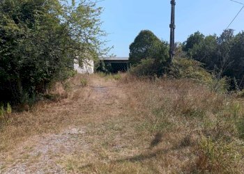 WhatsApp Image 2024-08-03 at 16.47.48(1).jpeg - Rustic Castelnuovo Magra - photo 11