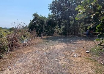 WhatsApp Image 2024-08-03 at 16.47.48.jpeg - Rustic Castelnuovo Magra - photo 12