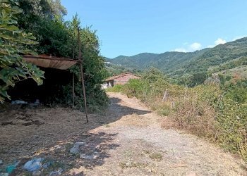 WhatsApp Image 2024-08-03 at 16.47.47(2).jpeg - Rustic Castelnuovo Magra - photo 13