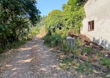 WhatsApp Image 2024-08-03 at 16.47.47(1).jpeg - Rustic Castelnuovo Magra - photo 14