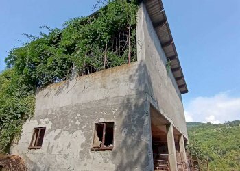 WhatsApp Image 2024-08-03 at 16.47.47.jpeg - Rustic Castelnuovo Magra - photo 15