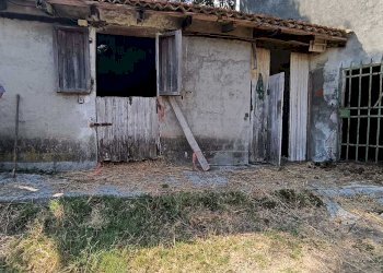 WhatsApp Image 2024-08-03 at 16.47.46.jpeg - Rustic Castelnuovo Magra - photo 17