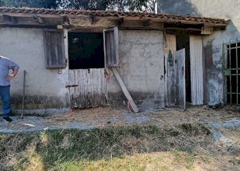 WhatsApp Image 2024-08-03 at 16.47.38(2).jpeg - Rustic Castelnuovo Magra - photo 18