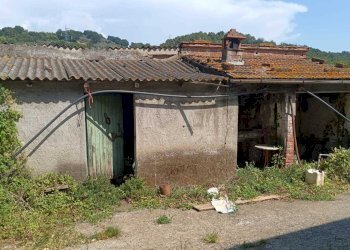 WhatsApp Image 2024-08-03 at 16.47.37.jpeg - Rustic Castelnuovo Magra - photo 20