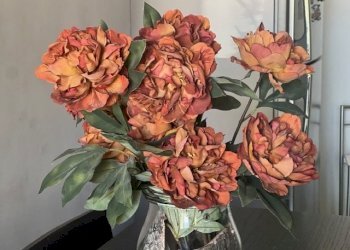 IMG_8925.jpg - Appartamento Cesena - foto 13