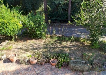 giardino - Villa contrada tratturo 9, Manoppello - foto 22