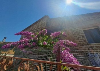 WhatsApp Image 2024-08-02 at 16.01.27 (1).jpeg - Villa via delle rimembranze 45, Amelia - photo 5