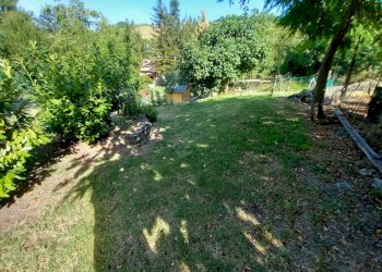 WhatsApp Image 2024-08-05 at 9.25.58 AM (2).jpeg - Terratetto - Terracielo Via G. Donegani 93, Novafeltria - foto 3