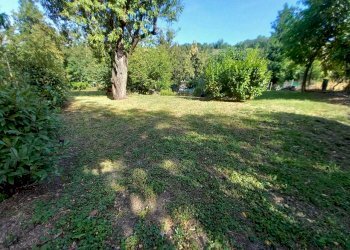 WhatsApp Image 2024-08-05 at 9.25.58 AM.jpeg - Terratetto - Terracielo Via G. Donegani 93, Novafeltria - foto 4