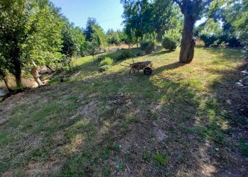 WhatsApp Image 2024-08-05 at 9.25.57 AM (8).jpeg - Terratetto - Terracielo Via G. Donegani 93, Novafeltria - foto 5