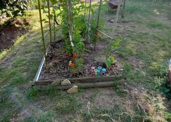 WhatsApp Image 2024-08-05 at 9.25.58 AM (4).jpeg - Terratetto - Terracielo Via G. Donegani 93, Novafeltria - foto 6