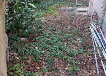 WhatsApp Image 2025-03-06 at 4.21.00 PM (1).jpeg - Appartamento Via XXIV Maggio 140, Novafeltria - foto 29