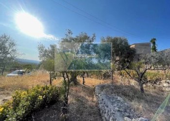 Terreno agricolo Traversa Mulino Marino, Siracusa - foto 5