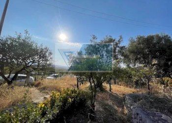 Terreno agricolo Traversa Mulino Marino, Siracusa - foto 6