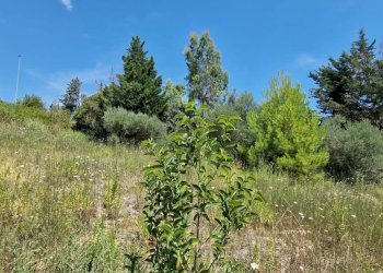 Terreno edificabile VIA VALLE ROSA, Montesilvano - foto 7